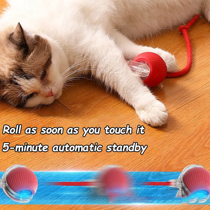 Interactive Rolling Ball