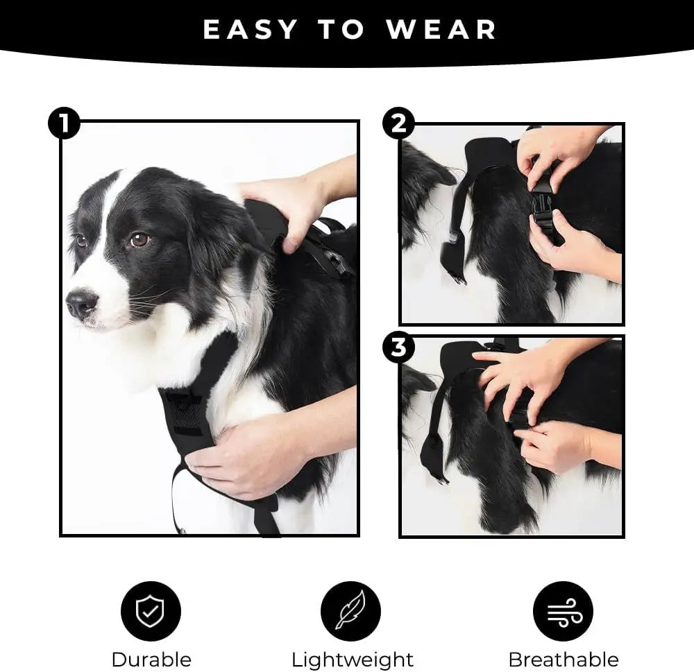 Dog Harness with Leash Retractable